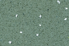 LS-451