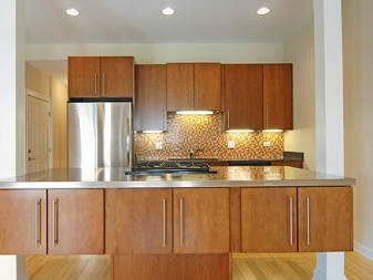 Chicago Kitchen Renovation